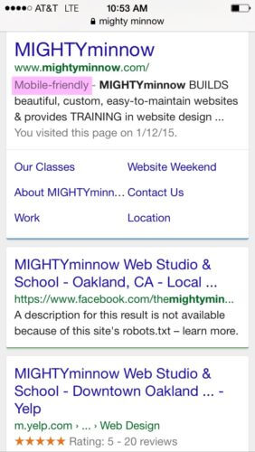 Mobile-Friendly Search Result