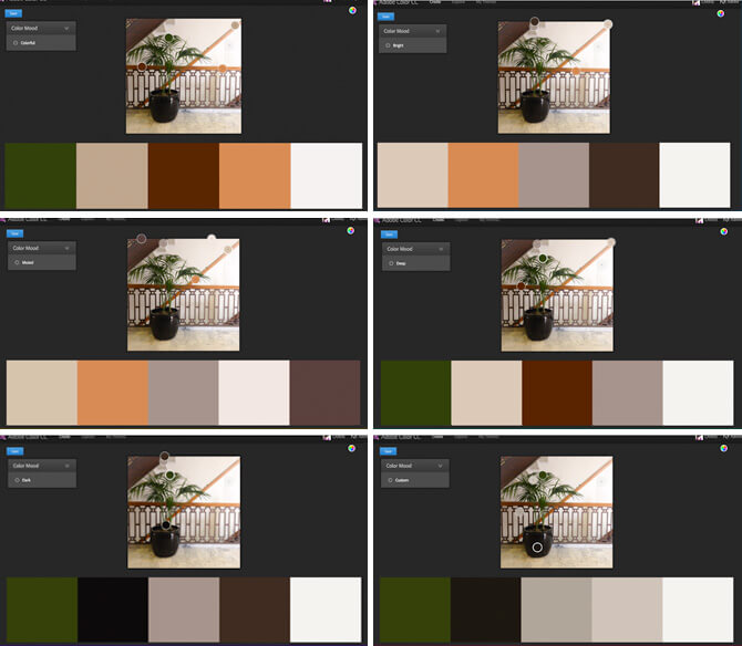 Examples of a color scheme chosen from a photograph.